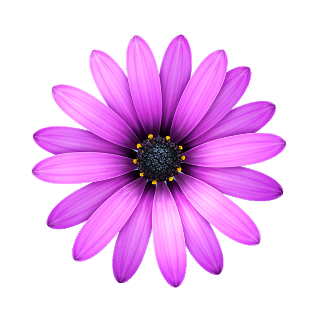 39e5d6f1fba8660cf293d0cc384f61d1.png