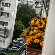 IMG 20260604 192543