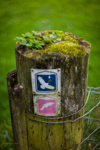 L1461264.jpg