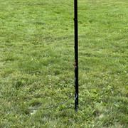 IMG-1658