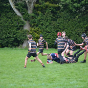 DSC 0743