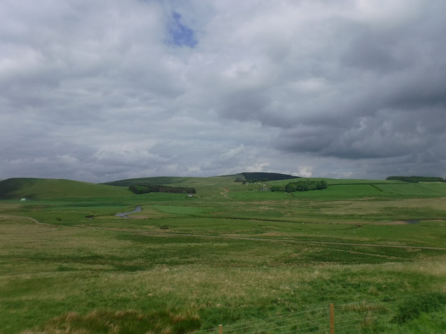 DSCF7937.jpg