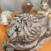 IMG 20240825 115925