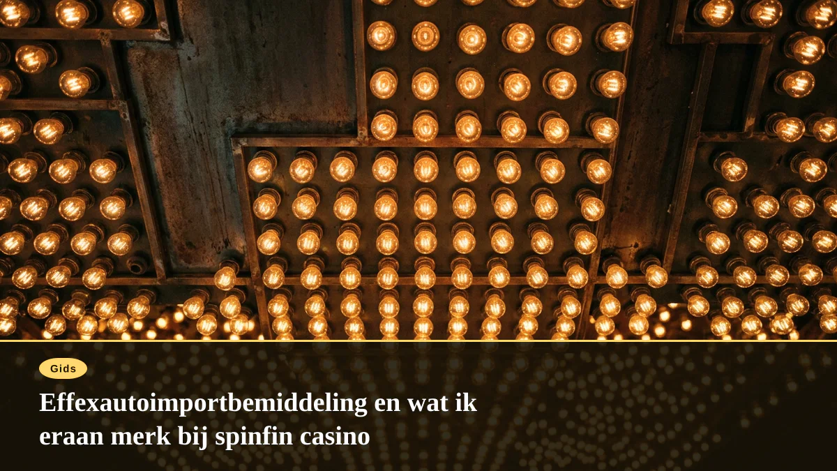 Effexautoimportbemiddeling en wat ik eraan merk bij spinfin casino