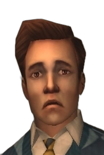 wgiconbully (10).png