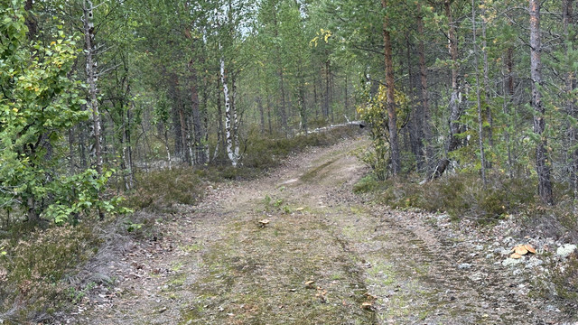 IMG 5772.jpg