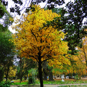 DSCN5049 1
