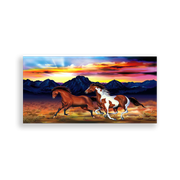 703486-Cavalos-Ana