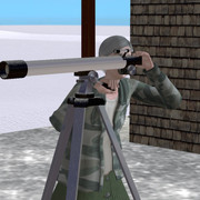 image221