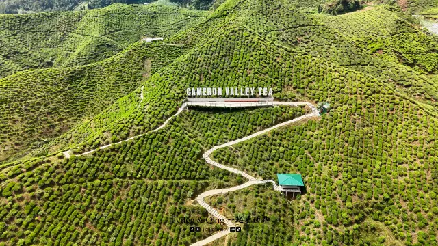 Cameron Valley13.webp
