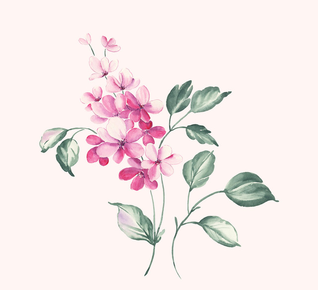 shutterstock-713891743.jpg