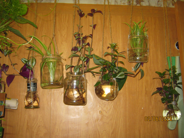 IMG 6415.jpg