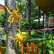 DSC00637