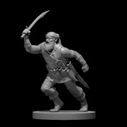 Bandit Captain Male