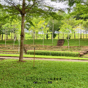 Bamboo Walk3
