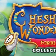 Cheshwonder2ce