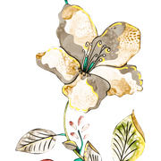 460799a11fcdb729f665bd7657f201bc.png