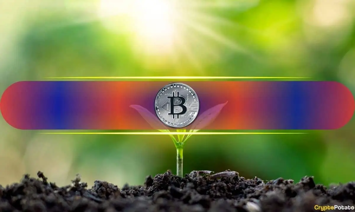 Bitcoin Market Shift: Long-Term Investors Dominate