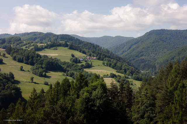 IMG-0146.jpg