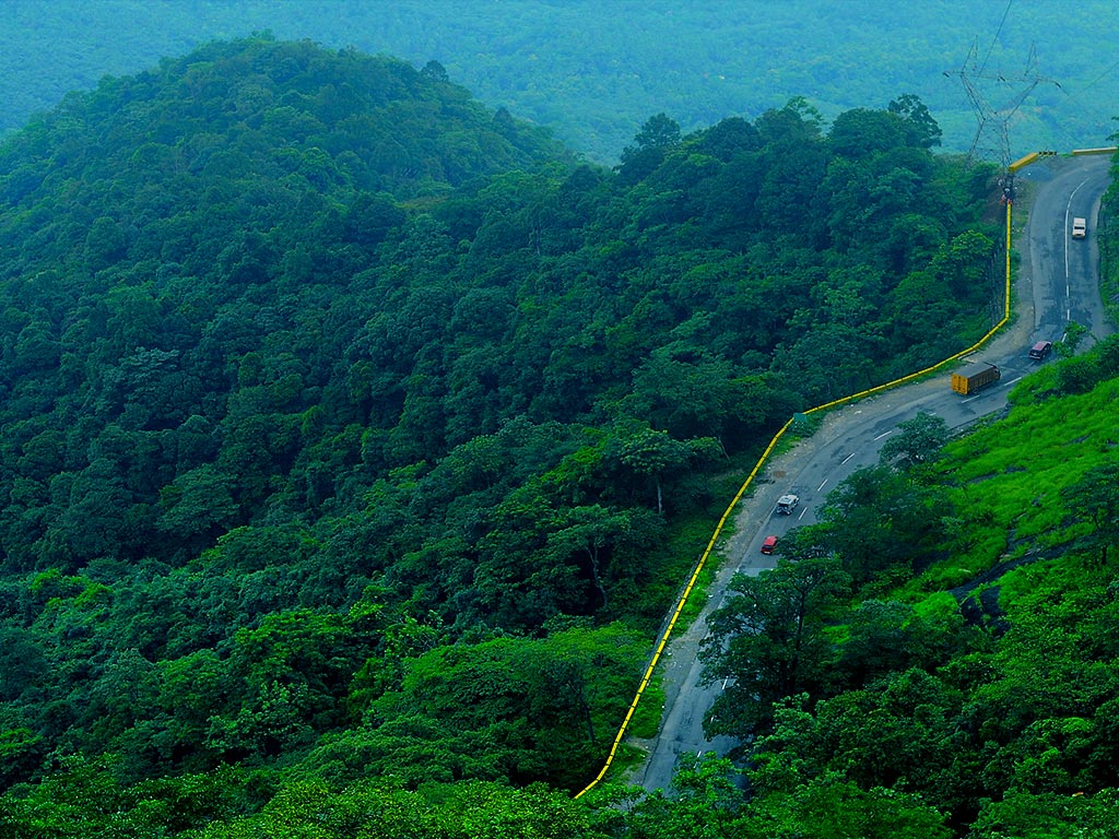 Monsoon Wayanad Calicut