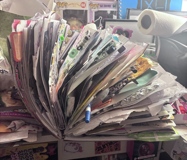 IMG-7483.jpg