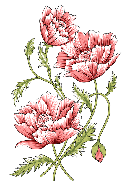 b3cf5514a0df2be19aa8595eca924ead.png