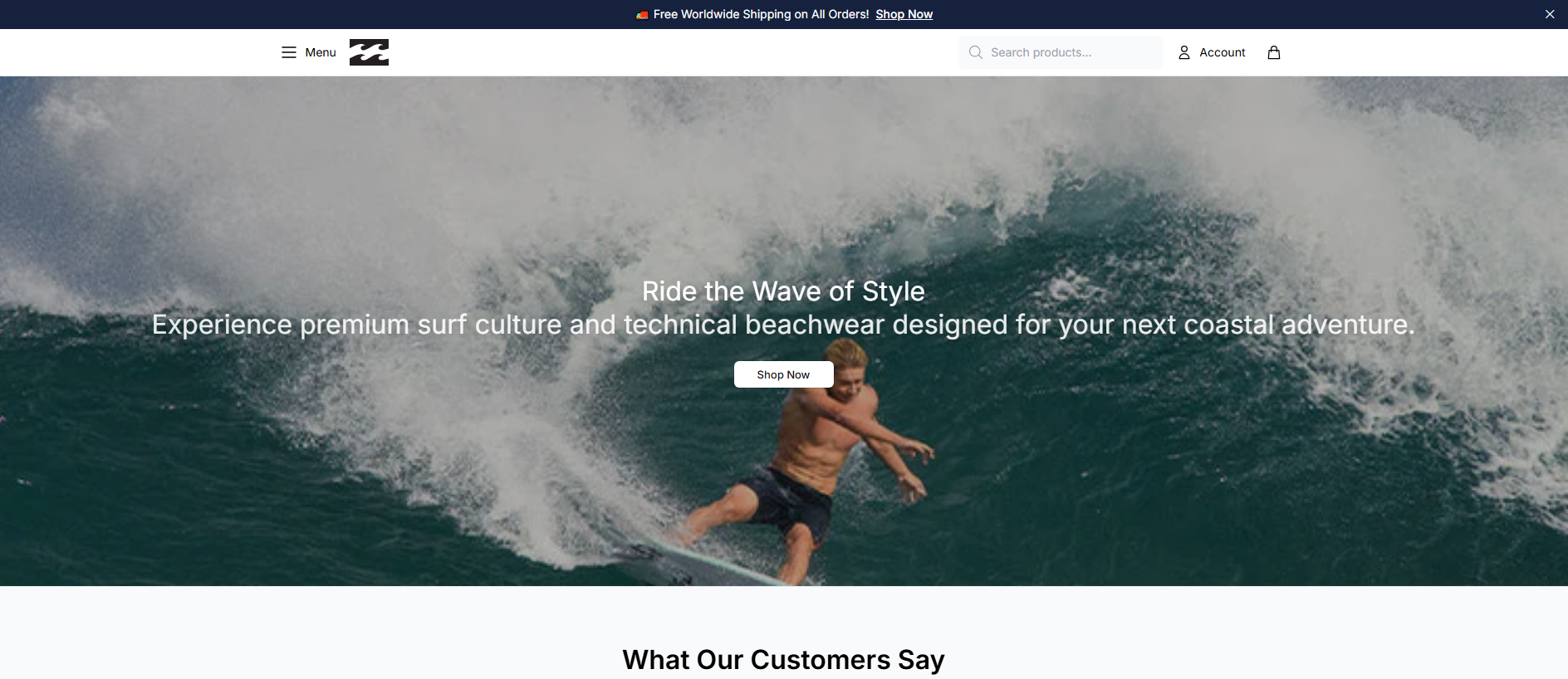 Primary capture · billabongstudio.shop