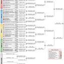 Результаты 52kg