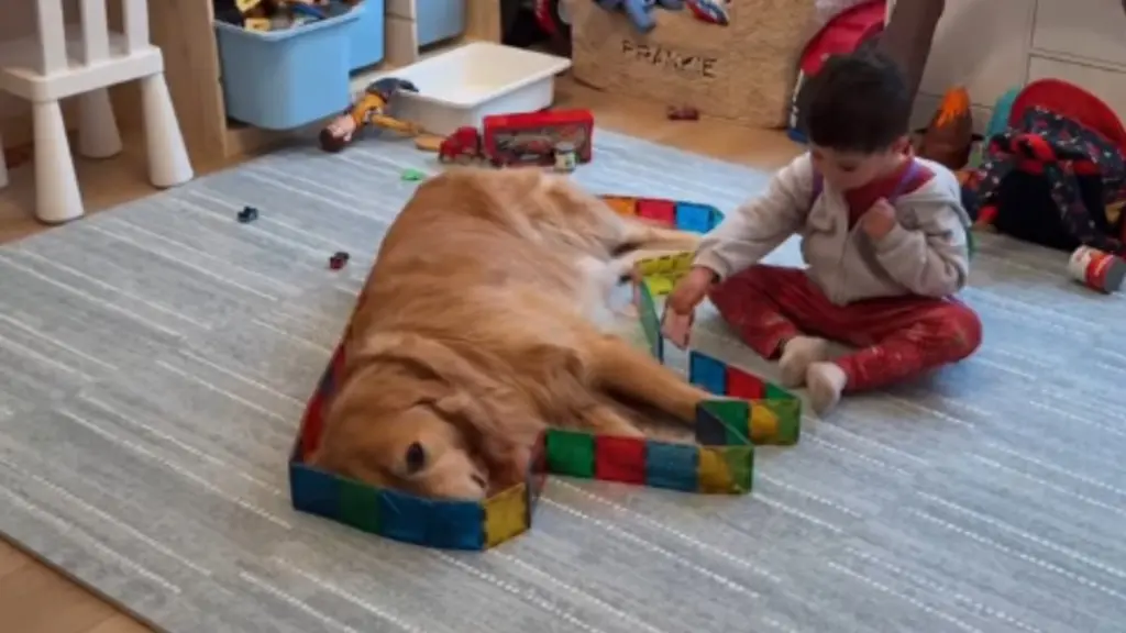 Golden Retriever Becomes Canvas in Toddler's Creative Play