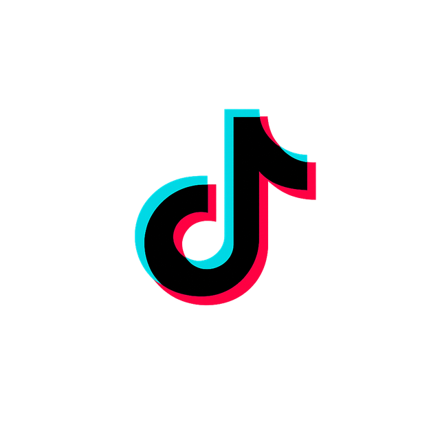 csmvip004.png