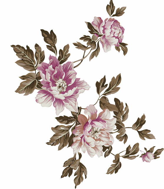 19e0956a92692d971a098c347cdcd0d5.png