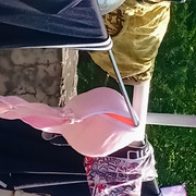 IMG20200318140758