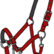 riimu8 5