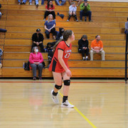 IMG-0356