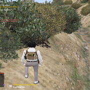Screenshot 3719