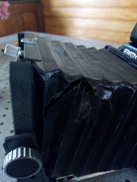 IMG-20190701-190400561