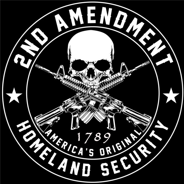 2nd-Amendment-Skull.jpg