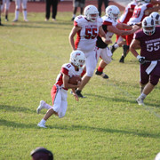 IMG-2010