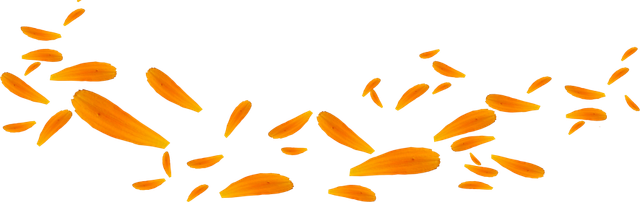 Leaves10