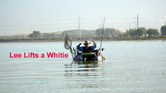 LEE-WHITIE