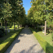IMG-0557
