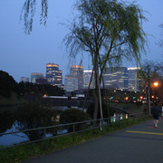 2008-01-19-62