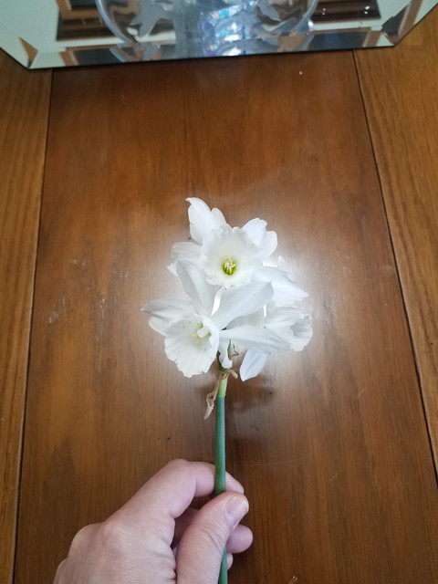 20200322 101840.jpg