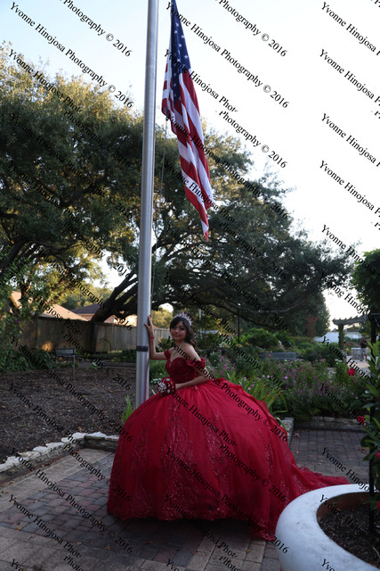IMG 2549