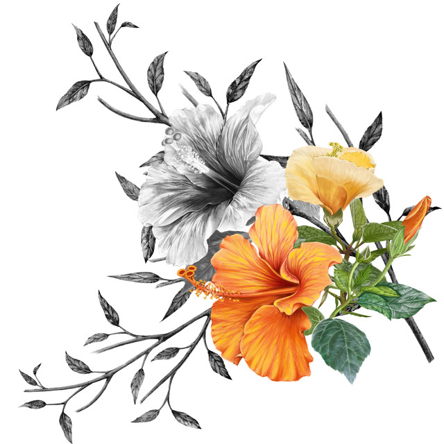 shutterstock 507141094.jpg