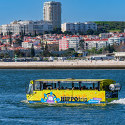 DSF5617