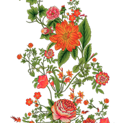 ac9233f67c92db07da0d788e237e1357.png