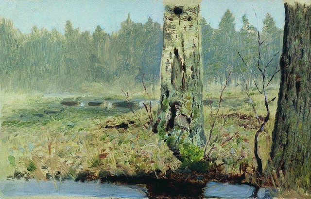 Стволы деревьев.jpg