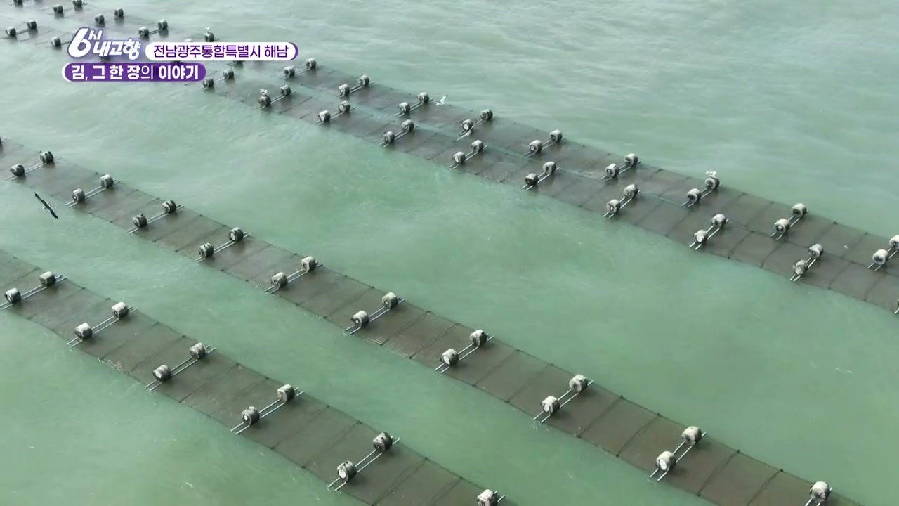 6시내고향 해남 김 캡처