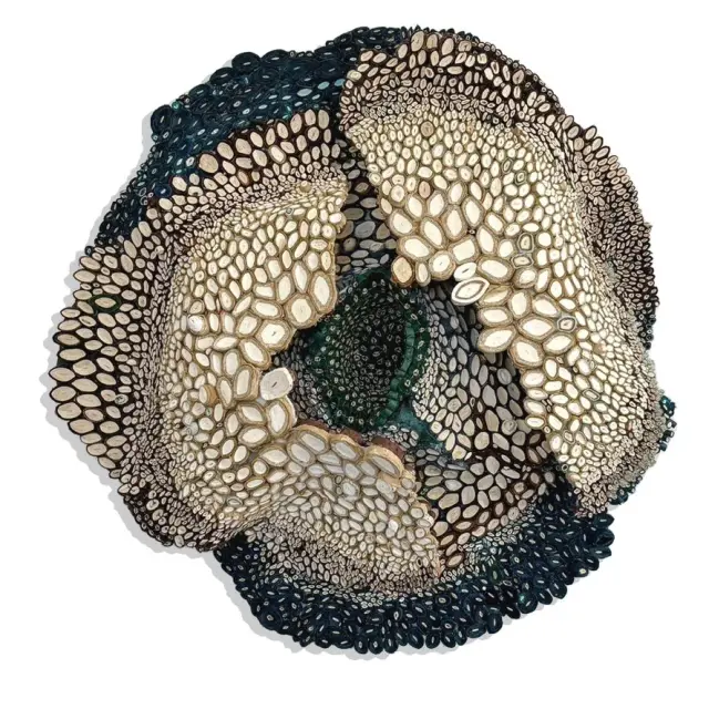 image asset.webp